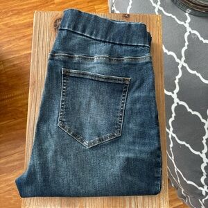 Lands' End Dark Blue Women's Jeggings